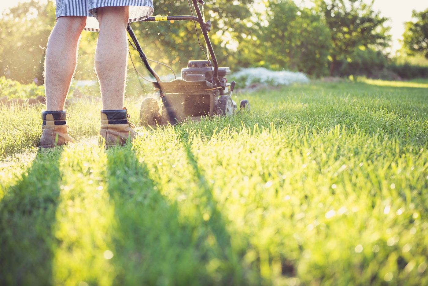 A crew member mowing a green lawn in low evening light